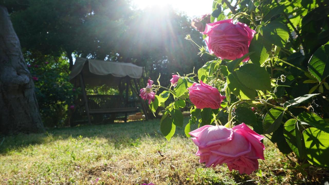 Kavet Palio Cottage PalaiónTsiflíkion Exteriér fotografie