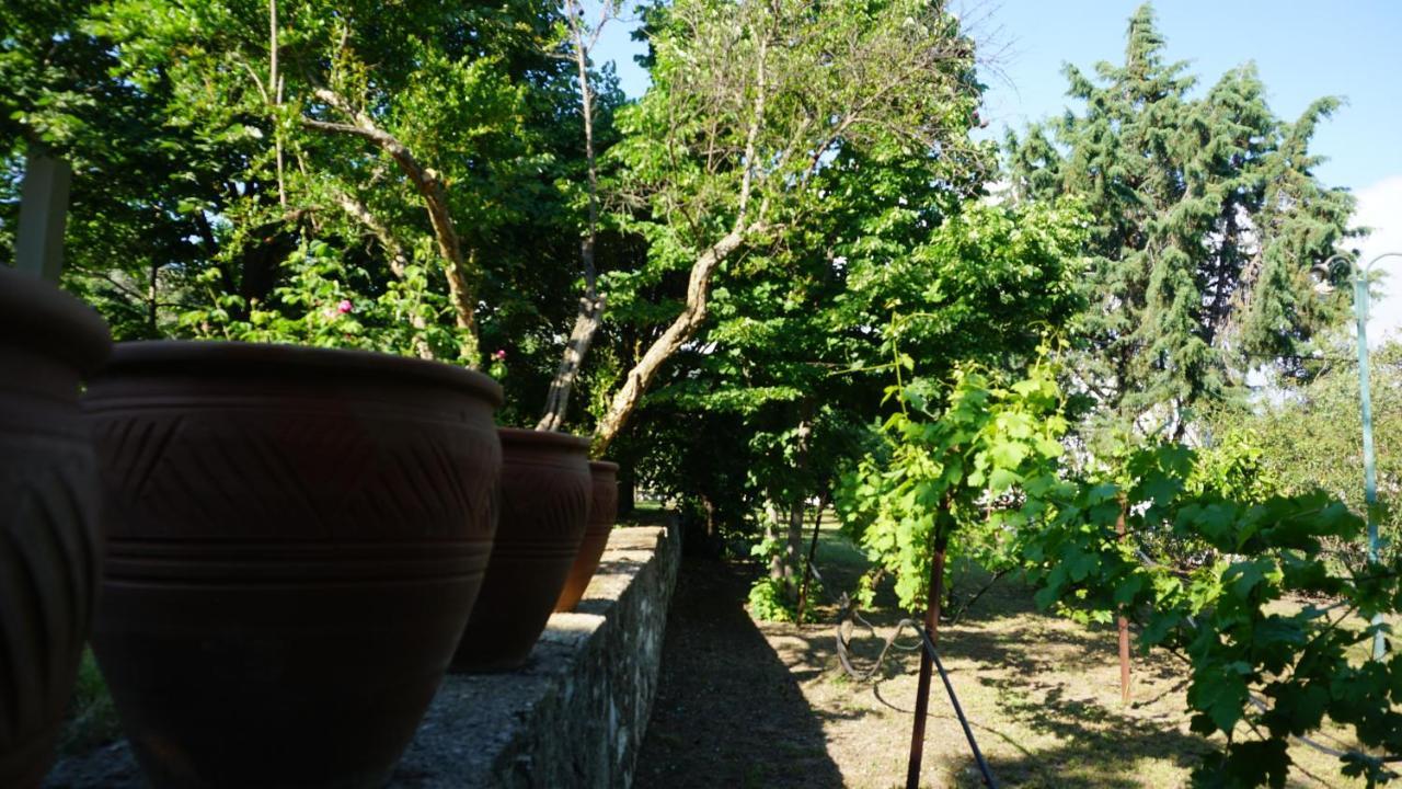 Kavet Palio Cottage PalaiónTsiflíkion Exteriér fotografie